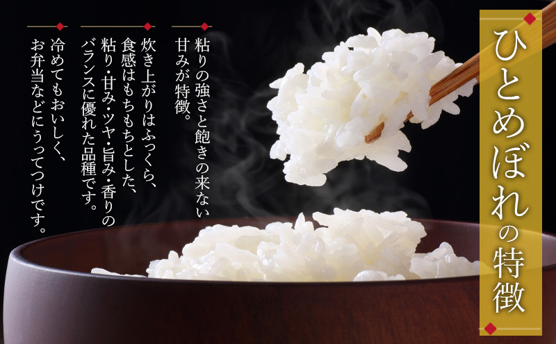 ひとめぼれ 10kg 5kg×2袋 白米 お米 米 岩手県産 盛岡市産 精米 単一原料米 ごはん ご飯 産地直送 農家直送 美味しい 粘り 甘み 毎日 食べやすい 主食 備蓄 保存 食卓 家族 朝食 ランチ 夕食 お取り寄せ グルメ ギフト 贈り物 岩手県 盛岡市 東北 岩手 盛岡 都南乙部産直組合