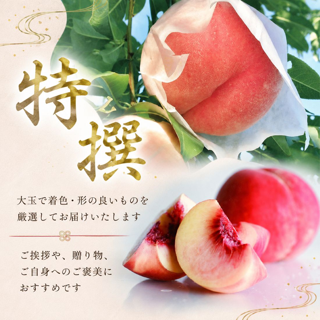 【8月下旬発送】 桃 川中島白桃 特撰 約2.0㎏ 先行予約 盛岡市産 白桃 完熟 もも モモ 果物 くだもの フルーツ 旬 産地直送 農家直送 デザート おやつ 自宅用 詰め合わせ 贈答 ギフト 朝採り 新鮮 甘い 人気 ジューシー ピーチ 夏 2026年 特産品 岩手県 盛岡市 東北 岩手 盛岡 ふじむら農園 fujimura004