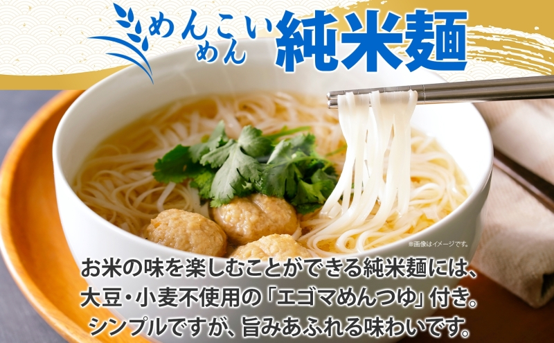 めんこいめん 2種 食べ比べ Eセット 計6食 純米麺 盛岡純米冷麺 盛岡冷麺 盛岡三大麺 ご当地グルメ ラーメン 米粉麺 米粉 麺 冷麺 グルテンフリー 詰め合わせ セット 郷土料理 もちもち 簡単調理 岩手県 盛岡市 東北 岩手 盛岡 農事組合法人となん