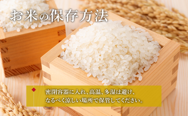 ひとめぼれ 10kg 5kg×2袋 白米 お米 米 岩手県産 盛岡市産 精米 単一原料米 ごはん ご飯 産地直送 農家直送 美味しい 粘り 甘み 毎日 食べやすい 主食 備蓄 保存 食卓 家族 朝食 ランチ 夕食 お取り寄せ グルメ ギフト 贈り物 岩手県 盛岡市 東北 岩手 盛岡 都南乙部産直組合