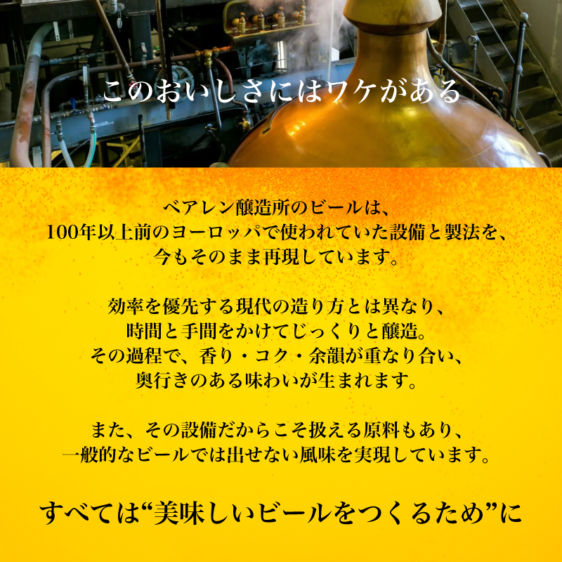 【クラフトビール定期便】 6ヶ月 飲み比べセット 缶 瓶 各6本 ベアレン 缶ビール 瓶ビール 定期便 6ヶ月定期便 飲み比べ セット 詰め合わせ 地ビール ビール ラガー エール 12本 おまかせ ランダム お酒 酒 岩手 盛岡 ベアレン醸造所