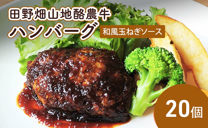田野畑山地酪農牛ハンバーグ 和風玉ねぎソース 20個 牛肉 肉 牛 惣菜 おかず お弁当 冷凍 小分け 個包装 湯煎 温めるだけ 簡単調理 レトルト 詰め合わせ ブランド牛 希少 厳選素材 旨味 ジューシー 国産 岩手県 盛岡市 東北 岩手 盛岡 有限会社 秀吉