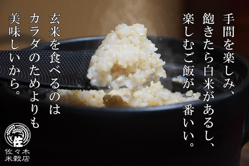 あきたこまち 玄米 20kg 10kg×2袋 盛岡市産 岩手 米 お米 ブランド米 いわて米 秋田こまち 五つ星 お米マイスター 推奨 こめ コメ ライス ご飯 ごはん 美味しい 贈り物 国産 岩手県産 岩手県 盛岡市 産地直送 盛岡 佐々木米穀店