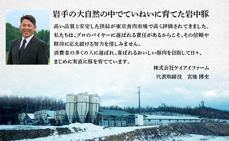 岩中豚 とんかつセット 合計約800g 豚肉 ロース ヒレカツ用 国産 銘柄豚 詰め合わせ トンカツ ヒレカツ 揚げ物 お肉 ブランド豚 料理 晩ごはん 夕食 惣菜 おかず 贅沢 厳選 絶品 お取り寄せ 岩手県 盛岡市 東北 岩手 盛岡 株式会社ベルジョイス jois004