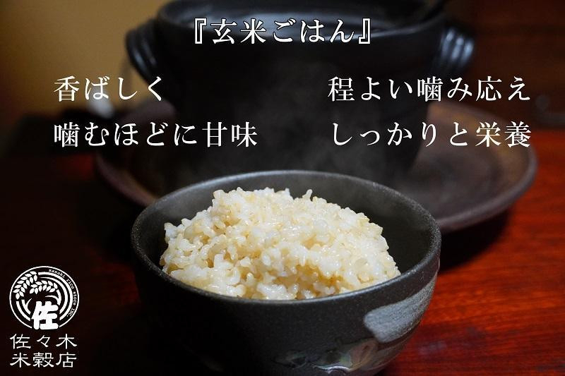 あきたこまち 玄米 20kg 10kg×2袋 盛岡市産 岩手 米 お米 ブランド米 いわて米 秋田こまち 五つ星 お米マイスター 推奨 こめ コメ ライス ご飯 ごはん 美味しい 贈り物 国産 岩手県産 岩手県 盛岡市 産地直送 盛岡 佐々木米穀店