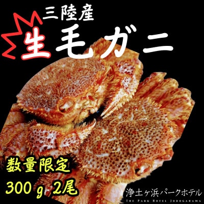 【先行予約(2月発送)】岩手県より獲れたて鮮魚直送便 【生毛ガニ300g×2杯】【配送不可地域：離島・沖縄県・九州】【1554532】