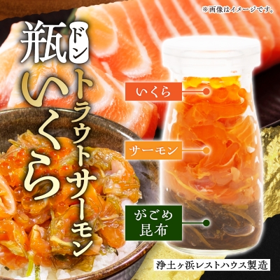 瓶ドン イカ タコ トラウトサーモンいくら 1本 3本セット 海鮮丼 お取り寄せ 冷凍 お手軽【配送不可地域：離島】【1132507】
