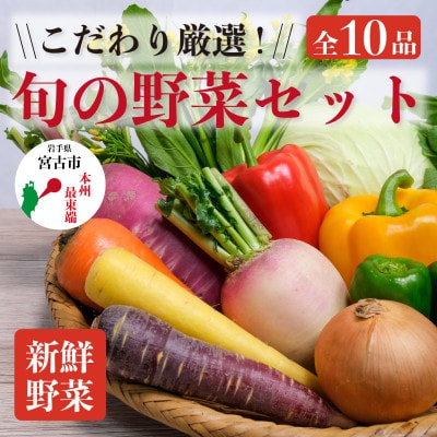 【新鮮野菜】こだわり厳選!旬の野菜セット【配送不可地域：離島・北海道・沖縄県】【1374254】