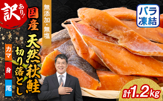 【訳あり】秋鮭切り落とし(カマ・身・尾)300g×4袋セット【配送不可地域：離島】【1632505】