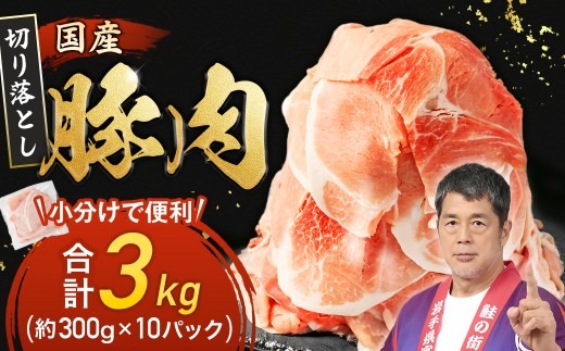 家計応援!国産 豚肉 計3kg!(300g×10P) 豚 切り落とし 小分けで便利【配送不可地域：離島】【1658904】