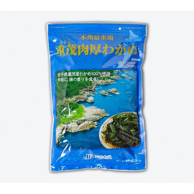 【三陸重茂産わかめ】湯通し塩蔵　肉厚わかめ　500g【配送不可地域：離島】【1685341】