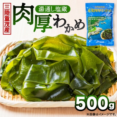 【毎月定期便】【三陸重茂産わかめ】湯通し塩蔵　肉厚わかめ　500g全3回【配送不可地域：離島】【4087851】