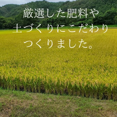 【令和6年産】岩手県産銀河のしずく 精米 5kg【1572254】