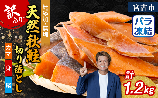 【訳あり】秋鮭切り落とし(カマ・身・尾)300g×4袋セット【配送不可地域：離島】【1632505】