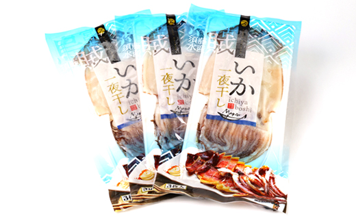 繧、繧ォ荳螟懷ケイ縺3譫壼・テ3p縲宣埼∽ク榊庄蝨ー蝓滂シ夐屬蟲カ縲代1610235縲