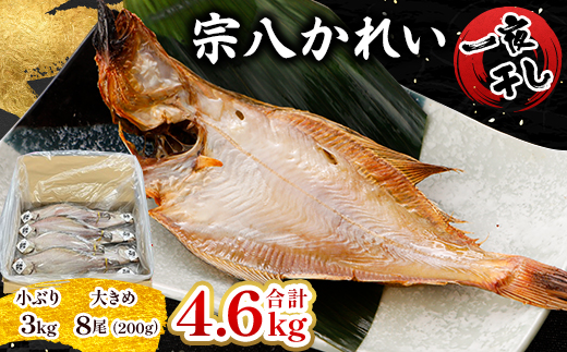 äžå€å¹²ãå®å
«ããã4.6kgã»ãããé
éäžå¯å°åïŒé¢å³¶ãã1521613ã