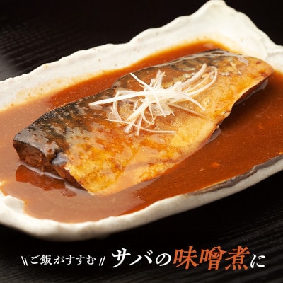 国産 天然 塩鯖 フィレ 骨取り 三陸の恵み 冷凍 500g 岩手県宮古市【配送不可地域：離島】【1652981】