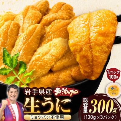 【2026年4月下旬以降順次発送】天然生うに100g×3パック岩手県産　ミョウバン不使用【配送不可地域：離島・沖縄県・九州】【1625398】