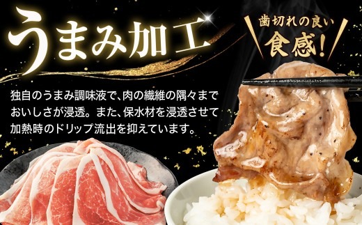 家計応援!国産 豚肉 計3kg!(300g×10P) 豚 切り落とし 小分けで便利【配送不可地域：離島】【1658904】