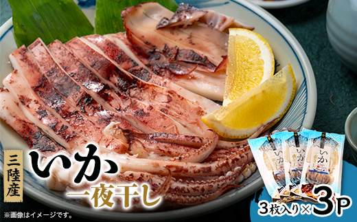 イカ一夜干し3枚入×3p【配送不可地域：離島】【1610235】