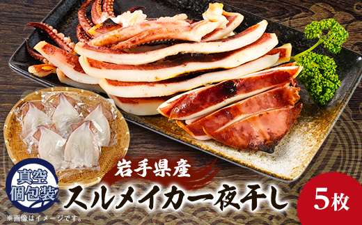 ã¹ã«ã¡ã€ã«ã®äžå€å¹²ã5æã»ãããé
éäžå¯å°åïŒé¢å³¶ãã1527275ã