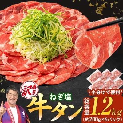 【訳あり】宮古のねぎ塩牛タン 1.2kg 成型肉【配送不可地域：離島】【1690816】
