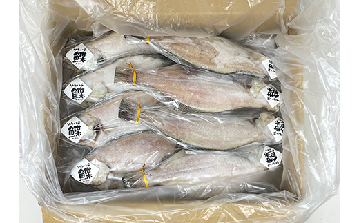 äžå€å¹²ãå®å
«ããã4.6kgã»ãããé
éäžå¯å°åïŒé¢å³¶ãã1521613ã