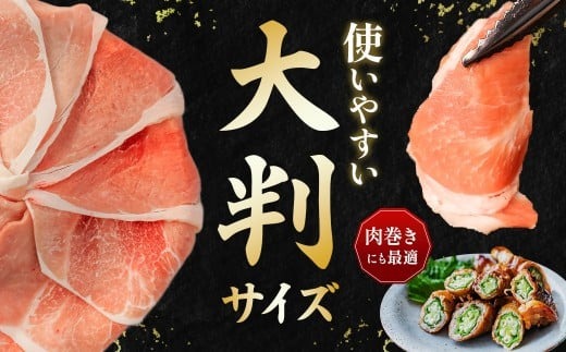 家計応援!国産 豚肉 計3kg!(300g×10P) 豚 切り落とし 小分けで便利【配送不可地域：離島】【1658904】