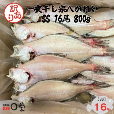 【訳あり】一夜干しかれい 宗八 SSサイズ16尾【配送不可地域：離島】【1724572】