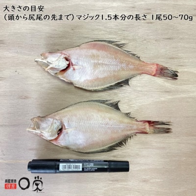 ãèš³ãããäžå€å¹²ãããã å®å
« SSãµã€ãº16å°Ÿãé
éäžå¯å°åïŒé¢å³¶ãã1724572ã