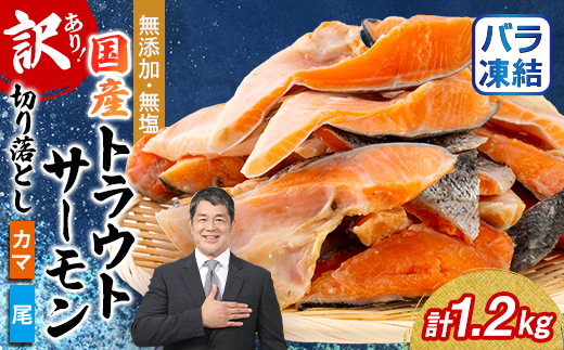 【訳あり】トラウトサーモン切り落とし(カマ・尾)300g×4袋セット【配送不可地域：離島】【1632509】