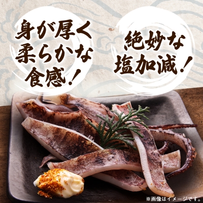 ã¹ã«ã¡ã€ã«ã®äžå€å¹²ã5æã»ãããé
éäžå¯å°åïŒé¢å³¶ãã1527275ã