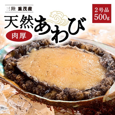 【三陸重茂産】天然　蝦夷あわび(2号品)500g(冷凍)【配送不可地域：離島】【1519984】