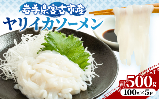 ヤリイカソーメン宮古産100g×5パック(500g)【配送不可地域：離島】【1702172】