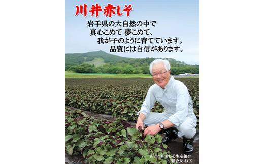 川井ペリーラ飲料 720ml×12本【1533691】