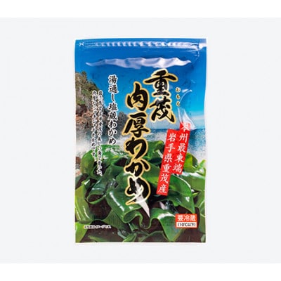 【三陸重茂産わかめ】湯通し塩蔵　肉厚わかめ　100g【配送不可地域：離島】【1685356】