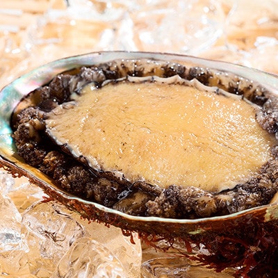 【三陸重茂産】天然あわび(2号品) 1kg(冷凍)【配送不可地域：離島】【1698550】