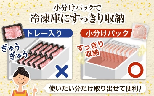 家計応援!国産 豚肉 計3kg!(300g×10P) 豚 切り落とし 小分けで便利【配送不可地域：離島】【1658904】