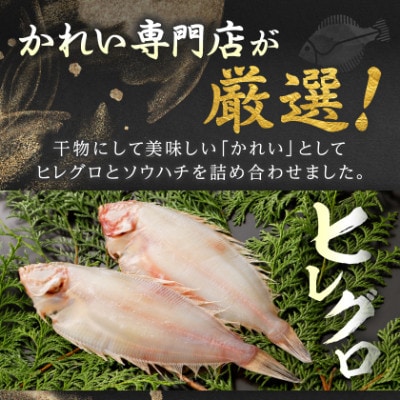 縲先ッ取怦螳壽悄萓ソ縲代舌°繧後>蟆る摩蠎励代%縺繧上j縺ョ蟷イ縺九l縺蜈螳溘そ繝繝亥ィ3蝗槭宣埼∽ク榊庄蝨ー蝓滂シ夐屬蟲カ縲代4087792縲