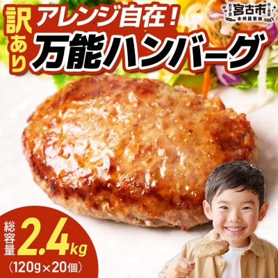 ãèš³ãããäžèœãã³ããŒã°2.4kg(120gÃ20å)ãå·åã®ãŸãŸ10åã§çŒãããé
éäžå¯å°åïŒé¢å³¶ãã1778293ã