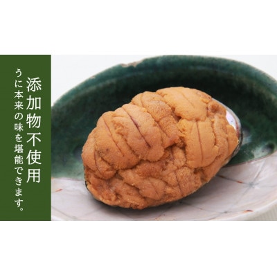 【三陸宮古重茂産】無添加焼きうに　80g×10個セット【配送不可地域：離島】【1426864】