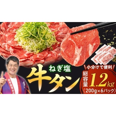【訳あり】宮古のねぎ塩牛タン 1.2kg 成型肉【配送不可地域：離島】【1690816】