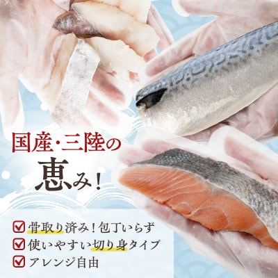 国産 三陸の恵み 骨取り天然魚 3種のごちそうセット 秋鮭 塩鯖 真鱈 冷凍 各500g計1.5kg【配送不可地域：離島】【1652973】