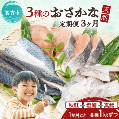 【3ヵ月毎定期便】三陸で獲れた人気の天然魚3種セットの定期便全3回【配送不可地域：離島】【4078776】