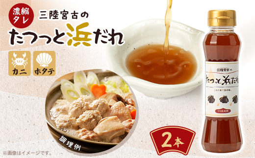 たつっと浜だれ　2本セット【1599758】