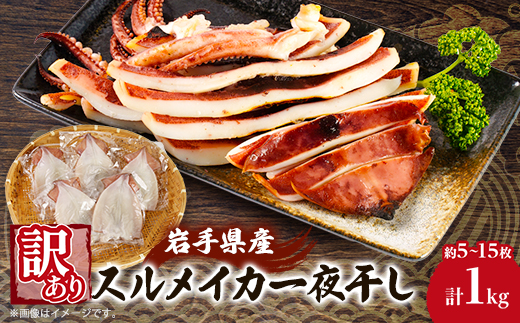 【訳あり】岩手県宮古市産スルメイカの一夜干し　1kg【配送不可地域：離島】【1710689】
