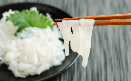 ヤリイカソーメン宮古産100g×5パック(500g)【配送不可地域：離島】【1702172】