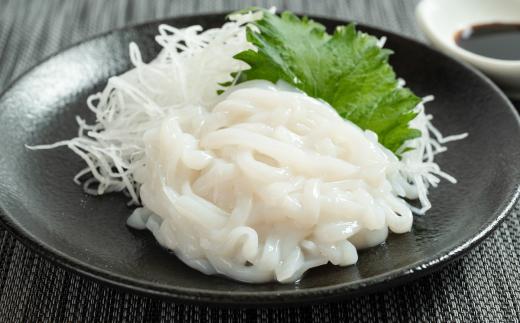 ヤリイカソーメン宮古産100g×5パック(500g)【配送不可地域：離島】【1702172】