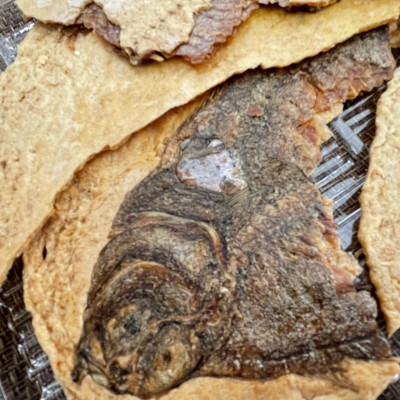 é奜ã ã®ãã¹ãã«éããã«ã¬ã€ã®ãæã¿ã»ãããä¹Ÿç© ããã¹ã MM0259ã1613742ã