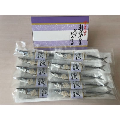 潮風さんま20本【配送不可地域：離島】【1733356】